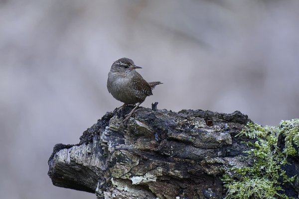 Locations de vacances dans des maisons troglodytes en Espagne : Quelle est l'expérience ?