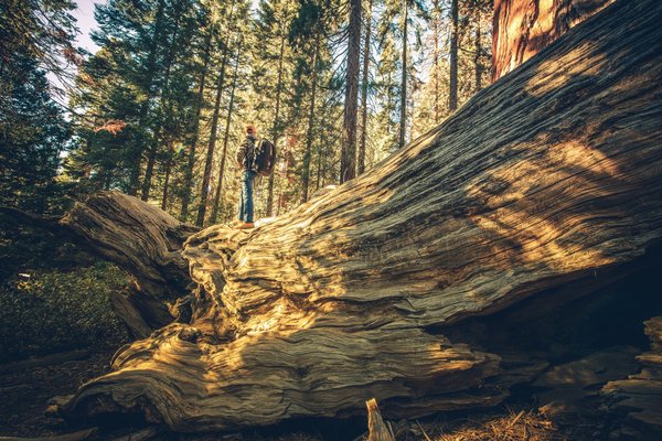 Comment découvrir les petits villages historiques cachés d'Écosse ?